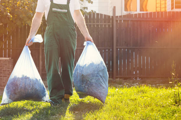 Best Dumpster Rental Services  in Roseville, MI